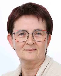 Opinjoni bħala shadow rapporteur