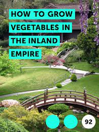 Pin On Veggie Garden