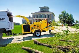 Cheap Tree Services Near Me Save Up To 43 Free Service
