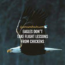 30 Best Eagle Quotes Quotes And Hacks