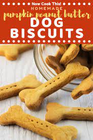 Homemade Pumpkin Peanut Butter Dog Biscuits Now Cook This Recipe Dog Treat Recipes Dog Biscuits Dog Biscuit Recipes