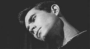 What To Watch: Black Summer Season 1