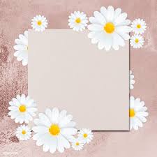 Download Premium Psd Of White Daisy Flower Frame On Pink Background Flower Frame Daisy Flower Flower Background Wallpaper