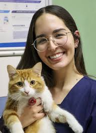 Meet the Bellville Team