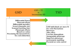 The sexual transition of an individual legally requires age and marital fitness, medically economic conditions and sufficient age. Transitions Between Genetic Sex Determination Gsd And Download Scientific Diagram