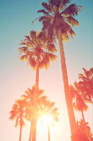 Check spelling or type a new query. Summer Iphone Wallpapers Top Free Summer Iphone Backgrounds Wallpaperaccess