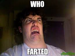 Who Farted?