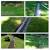 Before And After French Drain In Yard