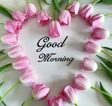 An idyllic image is causing havoc with android phones, and you should stay away from it. 30 Good Morning Photos Download Good Morning Photos Hd 27 October 2021