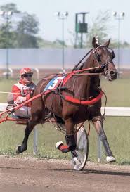 100's of honest bookmaker reviews to help you to choose the best online betting site for you. Details Of Sports Betting Massachusetts Age News Sport Tips And Review