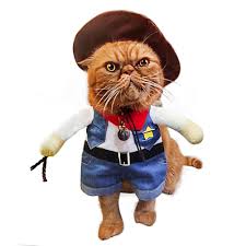 Hide from the cowboy cat neighbor and escape from him. Pet Cat Costume Suit Cowboy Outfit Clothes For Halloween Christmas Party Special Event Dressing Up Suitable For Large Cats And Sma Cats Pet Clothes Cat Clothes
