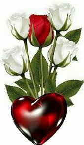 Pin By Pamela Cruz On Gifs De Flores Rose Flower Wallpaper Beautiful Rose Flowers Beautiful Flowers Wallpapers