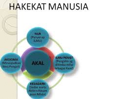 Menurutnya, pihak sprm dengan kerjasama kementerian pendidikan akan memperkenalkan prinsip dalam silibus pembelajaran seperti anti rasuah, nilai murni dan integriti. Hakikat Manusia Dan Pengembangannya Psychology Education Science