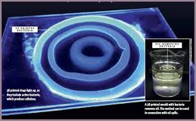 3d Printed Bacteria Purify Water Of Toxins S T R A V A G A N Z A