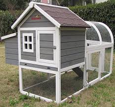 Pets Imperial Huhnerstall Charminster Mit Auslauf Freigehege Fur 2 Bis 3 Kleine Huhner Oder Vogel Grossenabh Kleine Huhnerstalle Huhnerstall Hinterhofhuhner