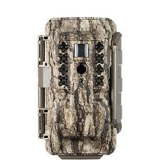 Looking for trail cameras that sends pictures to your phone? 12 Best Cellular Trail Cameras That Actually Work 2021 World Birds