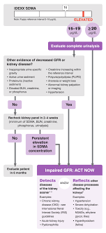 If you have one ckd sign, learn more about it here. Interpreting Your Sdma Results Idexx Us