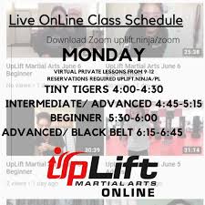 Monday Zoom Schedule Virtual Private Lessons From 9 12 Reservations Required Uplift Ninja Pl Tiny Tigers Private Lessons Online Classes Schedule Martial Arts