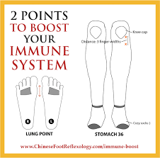 2 Points To Boost Your Immune System