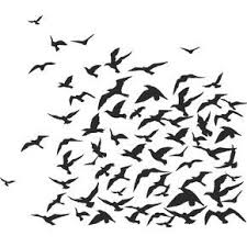 Flock Of Birds Animals Wall Art Decal Wall Stickers Transfers Ebay Bird Wall Art Animal Wall Art Flock Of Birds