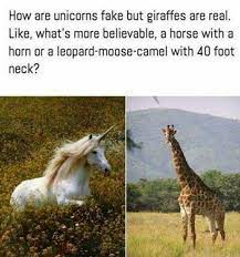 A man wakes up in a hospital, bandaged from head to foot. Leopard Moose Camel 9gag