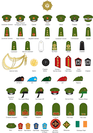 This Is The Military Insignia Of The Irish Army Military Ranks Military Insignia Army Ranks