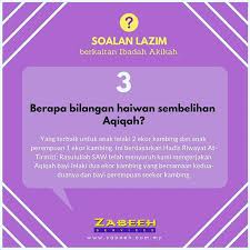Jika anda memilih lebih dari 1 bahagian lembu. Korbanakikah Instagram Posts Photos And Videos Picuki Com