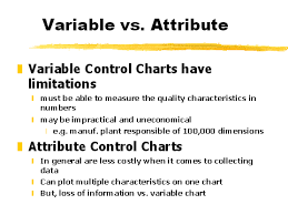 variable vs attribute