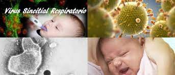 El virus también se trasmite a otros a través del contacto directo, como al dar la mano. Virus Sincitial Respiratorio Vsr Que Es Factores De Riesgo Contagio Sintomas Signos Diagnostico Tratamiento Y Pronostico Arriba Salud