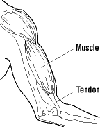 Following is a curated list of top 28 handpicked uml tools with popular features and latest download links. Tendon Disorders Osh Answers