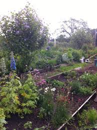 Maybe you would like to learn more about one of these? Flower Power U Pick Thegardenerisin Twitter