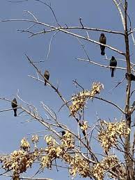 4555 east cactus road phoenix, az 85032. Roadrunner Park 3502 E Cactus Rd Phoenix Az Parks Mapquest