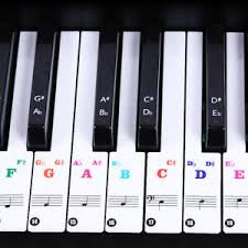 Die schwarzen tasten sind mit jeweils zwei namen beschriftet. Klavier Aufkleber Keynotes Musik Note Tastatur Etiketten Fur 88 Schlussel Ebay