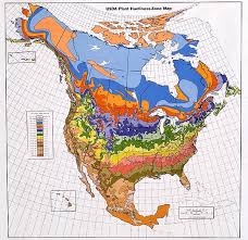 Englands Orchard And Nursery Plant Use And Zone Chart