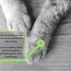 Some cats may refuse to bear any weight on the affected limb. Https Encrypted Tbn0 Gstatic Com Images Q Tbn And9gctbz0cqef 3zzjmf Hs8qkfzbv Iszfpwnl33xttqklkftq5u Q Usqp Cau