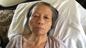 Fundraiser by Kong Pheng Yang : Mother In Law