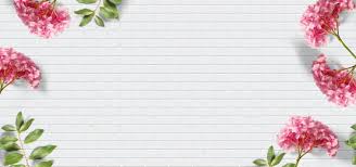 Check spelling or type a new query. White Wood Background Photos Vectors And Psd Files For Free Download Pngtree