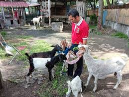 Jalan sl 1/4, bandar sungai long, kajang, 43000, malaysia. Education Extends Outdoors The Star