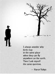 Birds That Don T Fly Away I Always Wonder Why Birds Choose To Stay In The Same Place When They Can Fly Anywhere On The Earth Then I Ask Myself The Same Question Harun Yahya Amazing Quotes