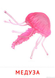 животные жарких стран занятие для детей 2 3 лет Pin Ot Polzovatelya Inga Valeika Na Doske Tematiskas Kartites Kartinki Doshkolnik Detskie Podelki