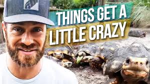 Another WILD Elongated Tort Found!