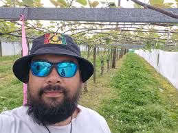 Cherry Picking jobs available now!