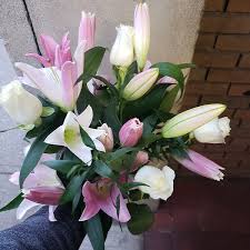 Check spelling or type a new query. Home Jong Young Flower Market