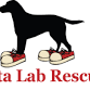 Atlanta Lab Rescue 5K event image