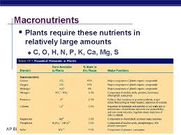 People need macronutrients in their diet in fairly large amounts. Chapter 37 Plant Nutrition Ap Biology Physiological Adaptation