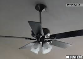 Browse latest funny, amazing,cool, lol, cute,reaction gifs and animated pictures! Made In China Lustige Bilder Spruche Witze Echt Lustig