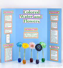 More fun science projects for kids. Pin By Hobby Lobby On School Days Elementary Science Fair Projects Kindergarten Science Fair Projects Cool Science Fair Projects