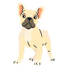 French Bulldog Puppy Ad Paid Affiliate Puppy Bulldog French Bulldog Puppies French Bulldog Puppy French Bulldog
