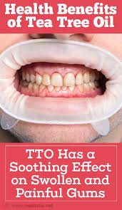 If you are a person who likes styling hair with different types of haircuts, color highlights and styles, you should use tea tree oil shampoo. Top 15 Health Benefits Of Tea Tree Oil Melaleuca Oil