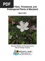 Image result for Rhynchosia torrei